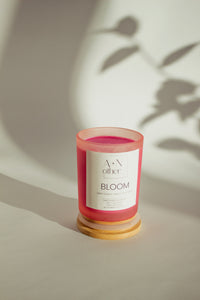 Bloom Gift Set - Sugar + Style