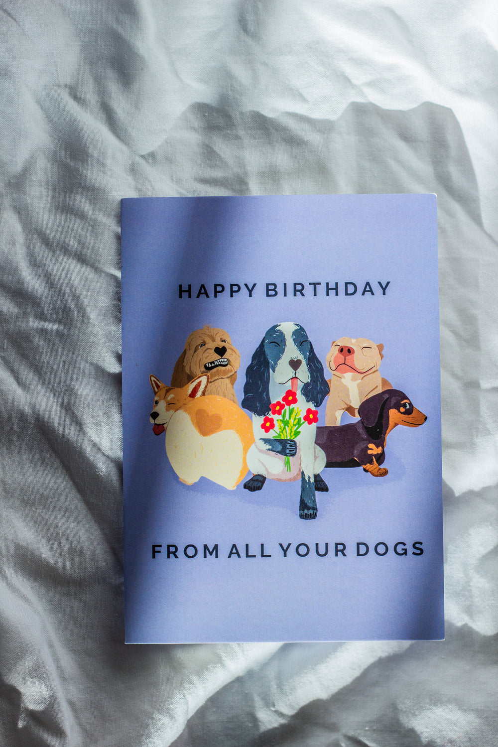 Juu Illustration Dog Birthday Card with Envelope - Sugar + Style