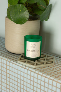 Evergreen Candle - Sugar + Style