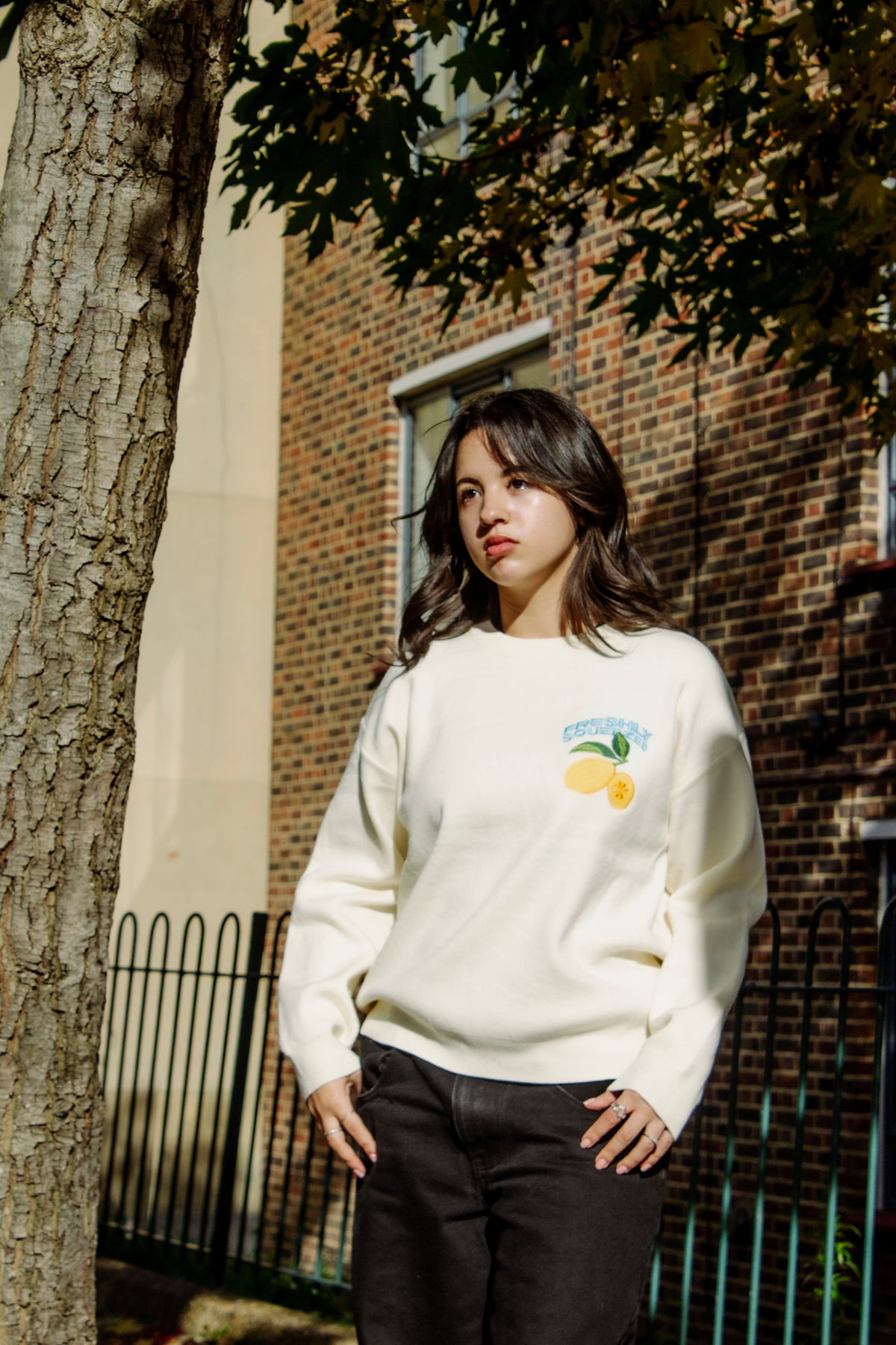 Cream Lemon Embroidered Knit Jumper - Sugar + Style