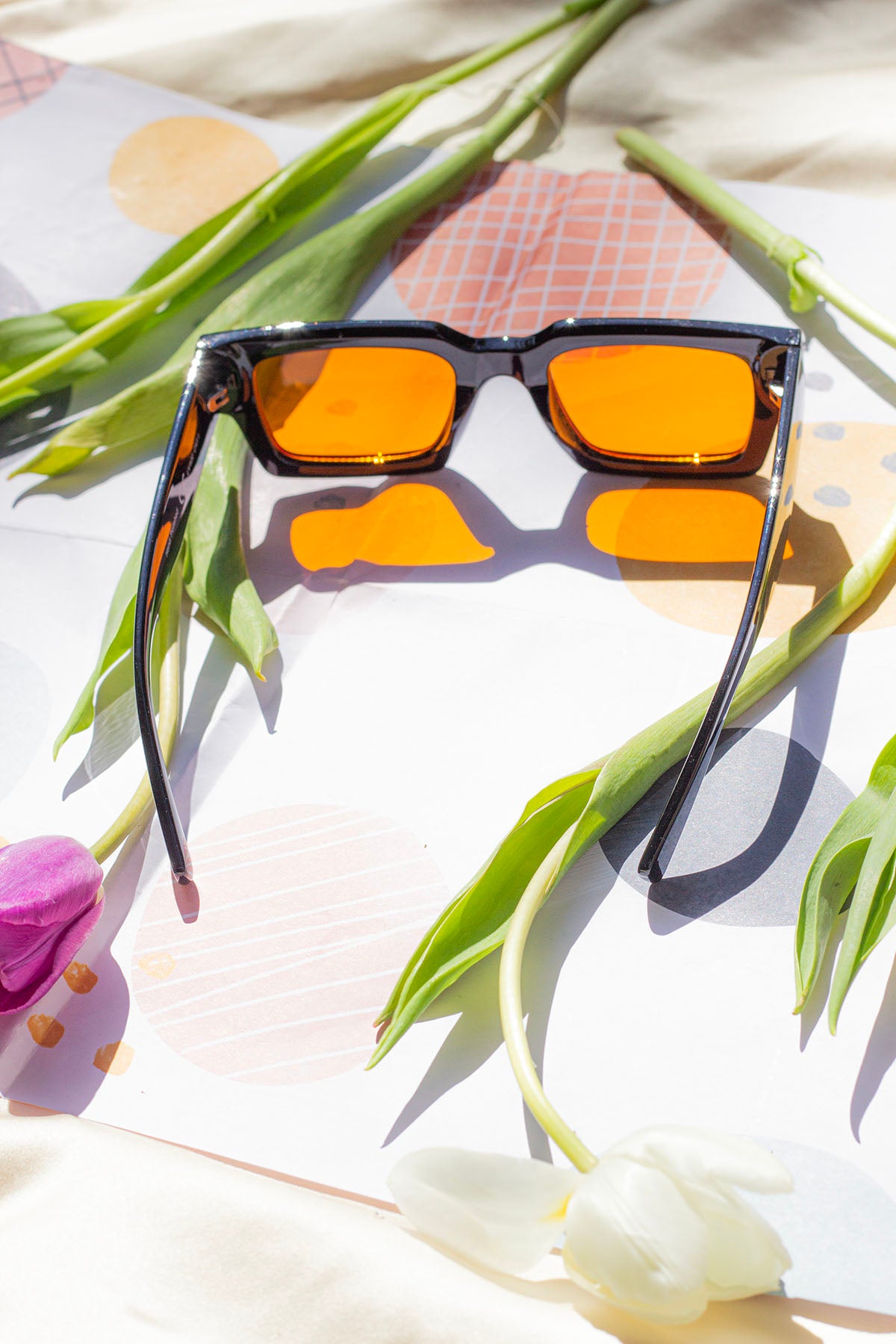 Thick Frame Mini Rectangle Sunglasses