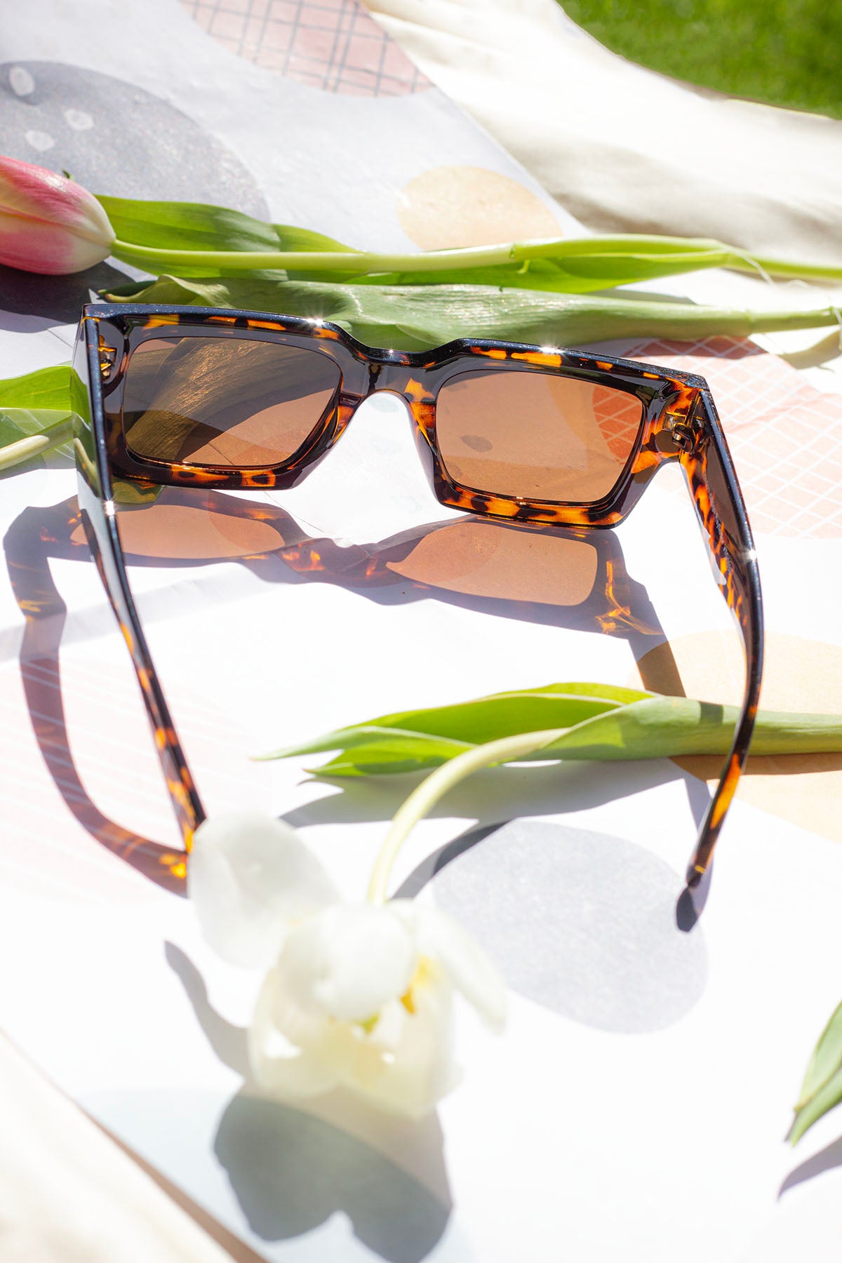 Thick Frame Mini Rectangle Sunglasses