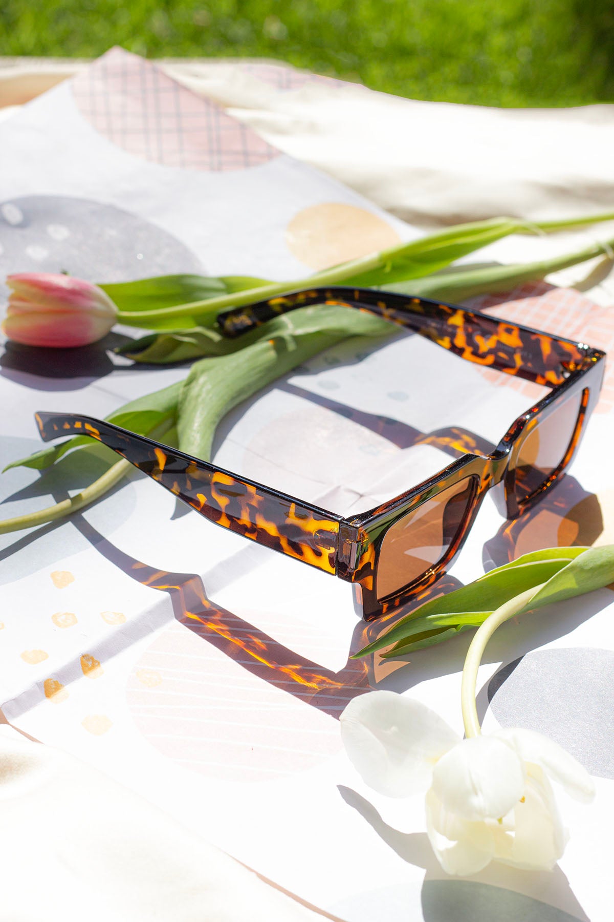 Thick Frame Mini Rectangle Sunglasses