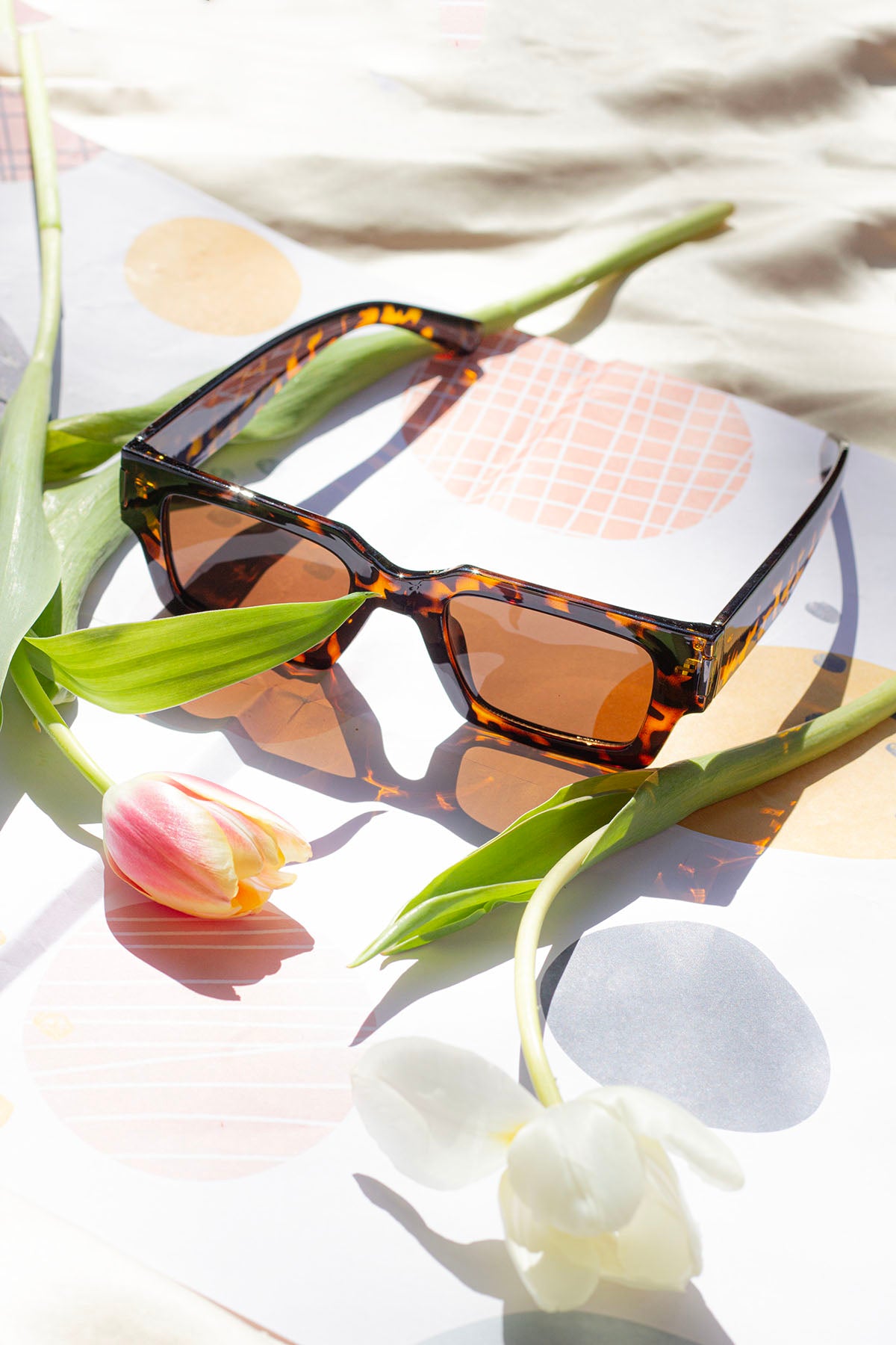 Thick Frame Mini Rectangle Sunglasses