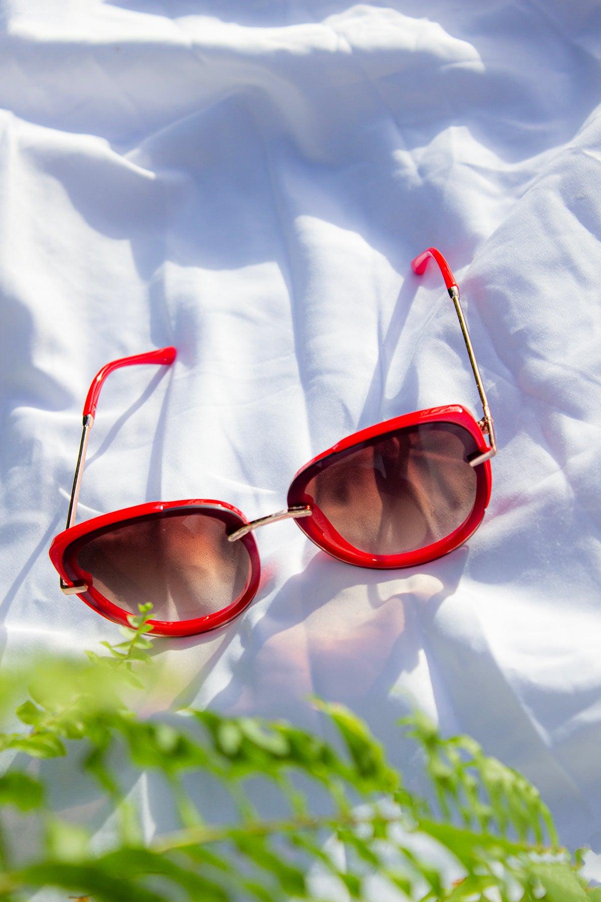 Front Lens Oversized Sunglasses - Sugar + Style