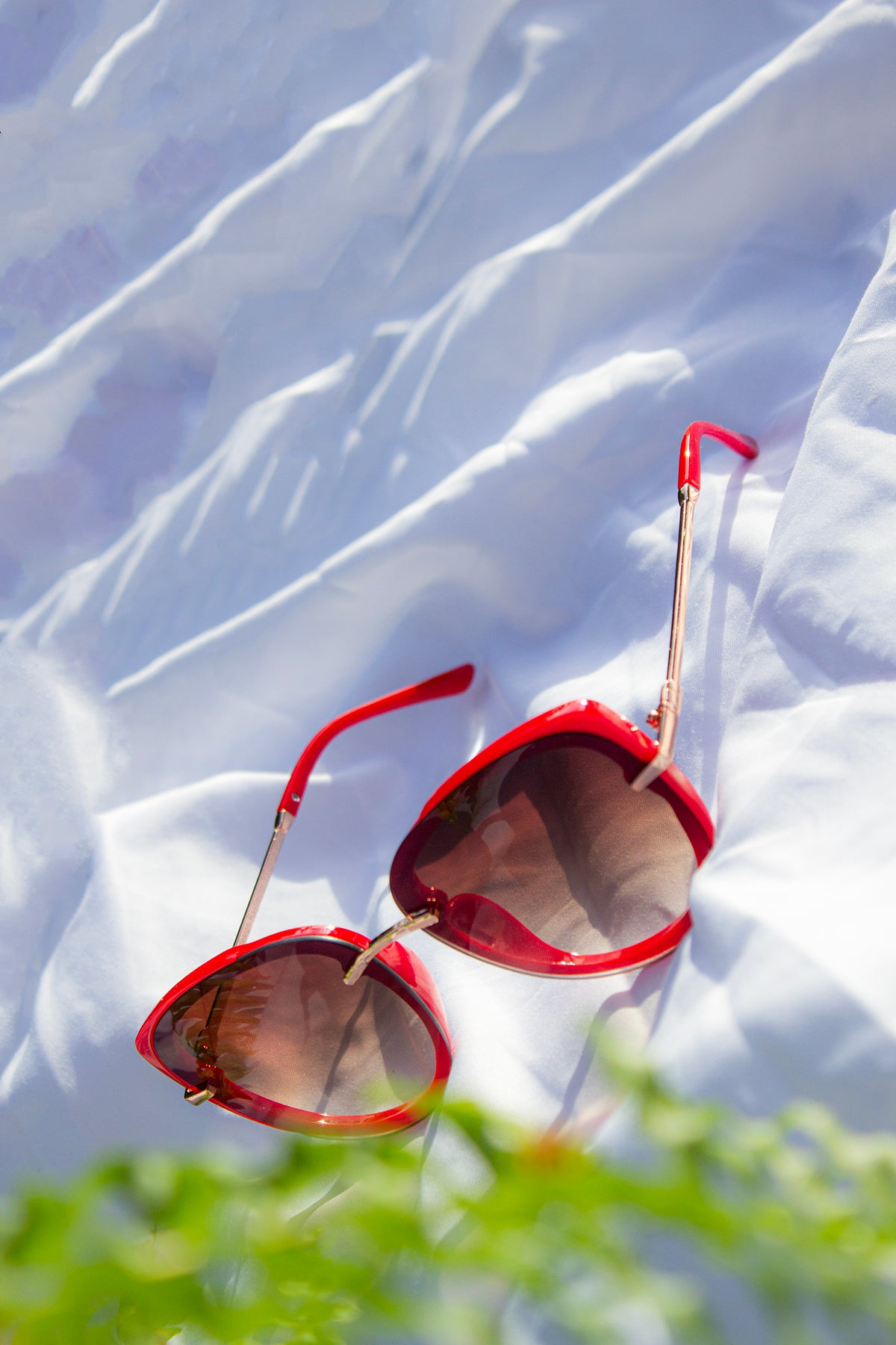 Front Lens Oversized Sunglasses - Sugar + Style