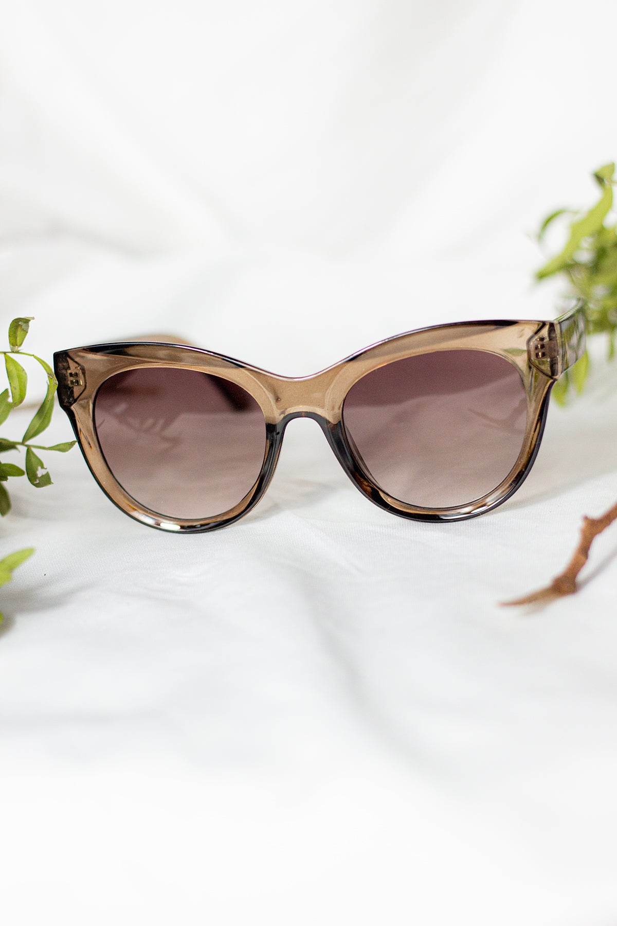 Rounded Top Cat Eye Dish Sunglasses - Sugar + Style