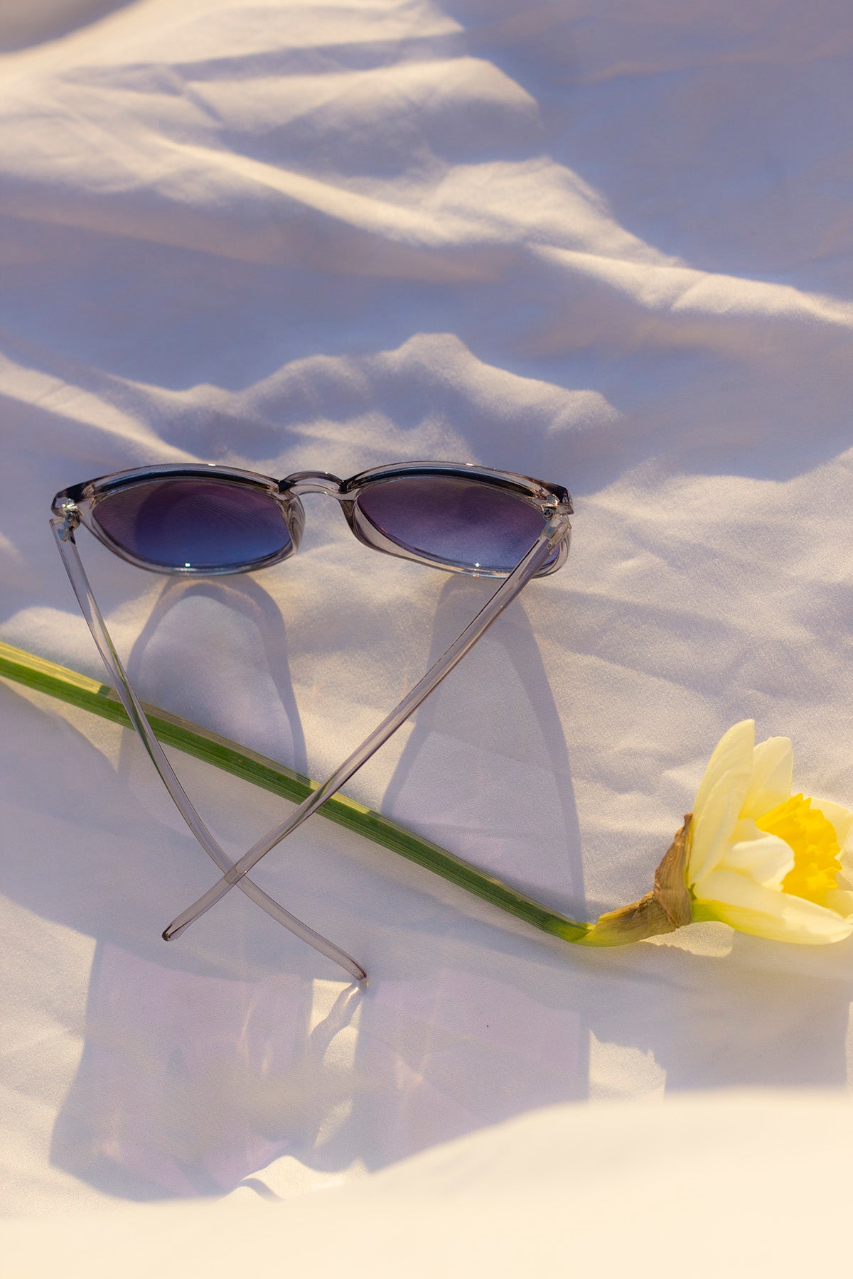 Rounded Full Colourful Sunglasses - Sugar + Style