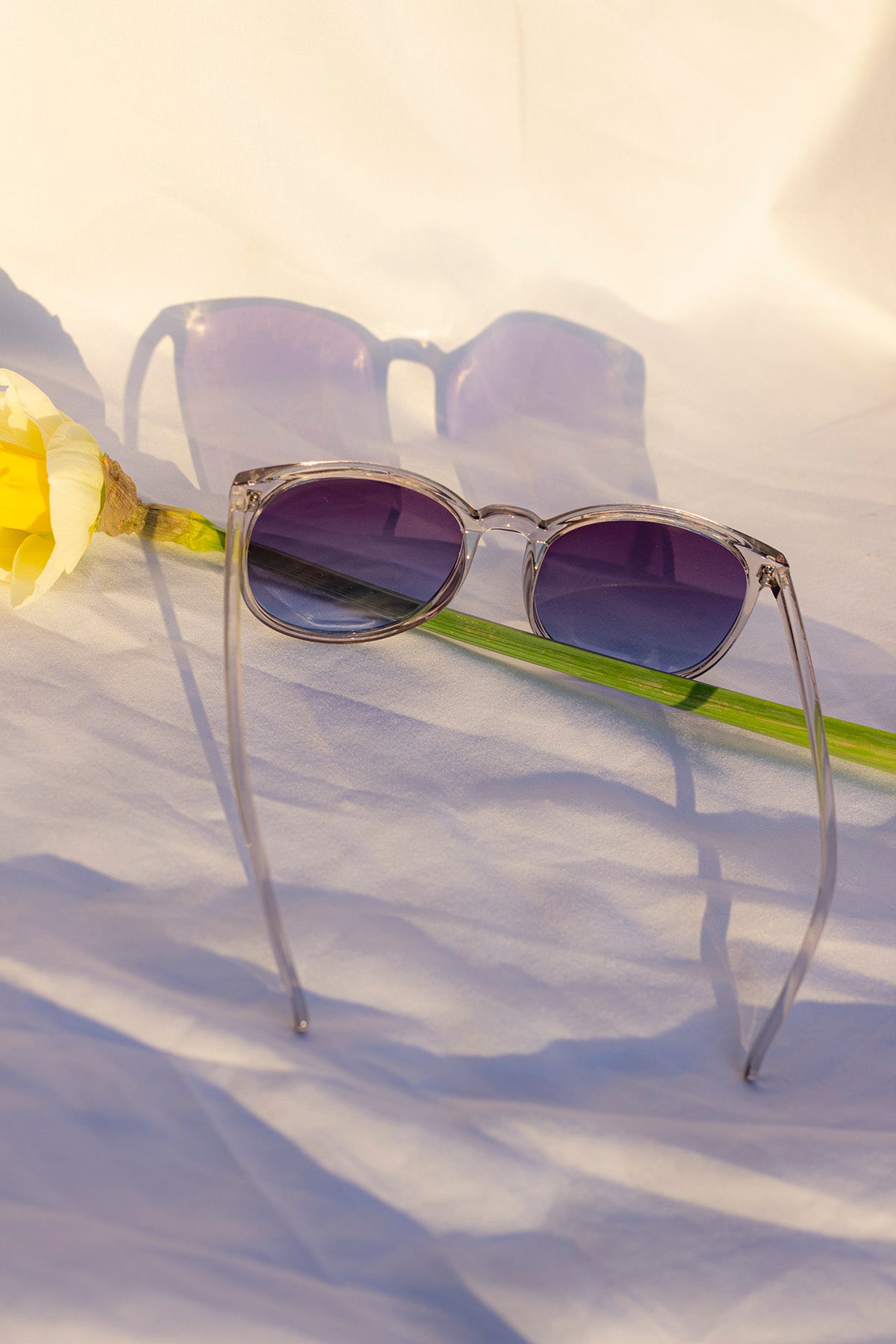 Rounded Full Colourful Sunglasses - Sugar + Style