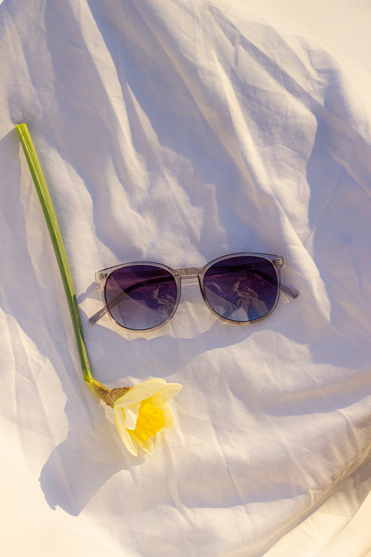 Rounded Full Colourful Sunglasses - Sugar + Style