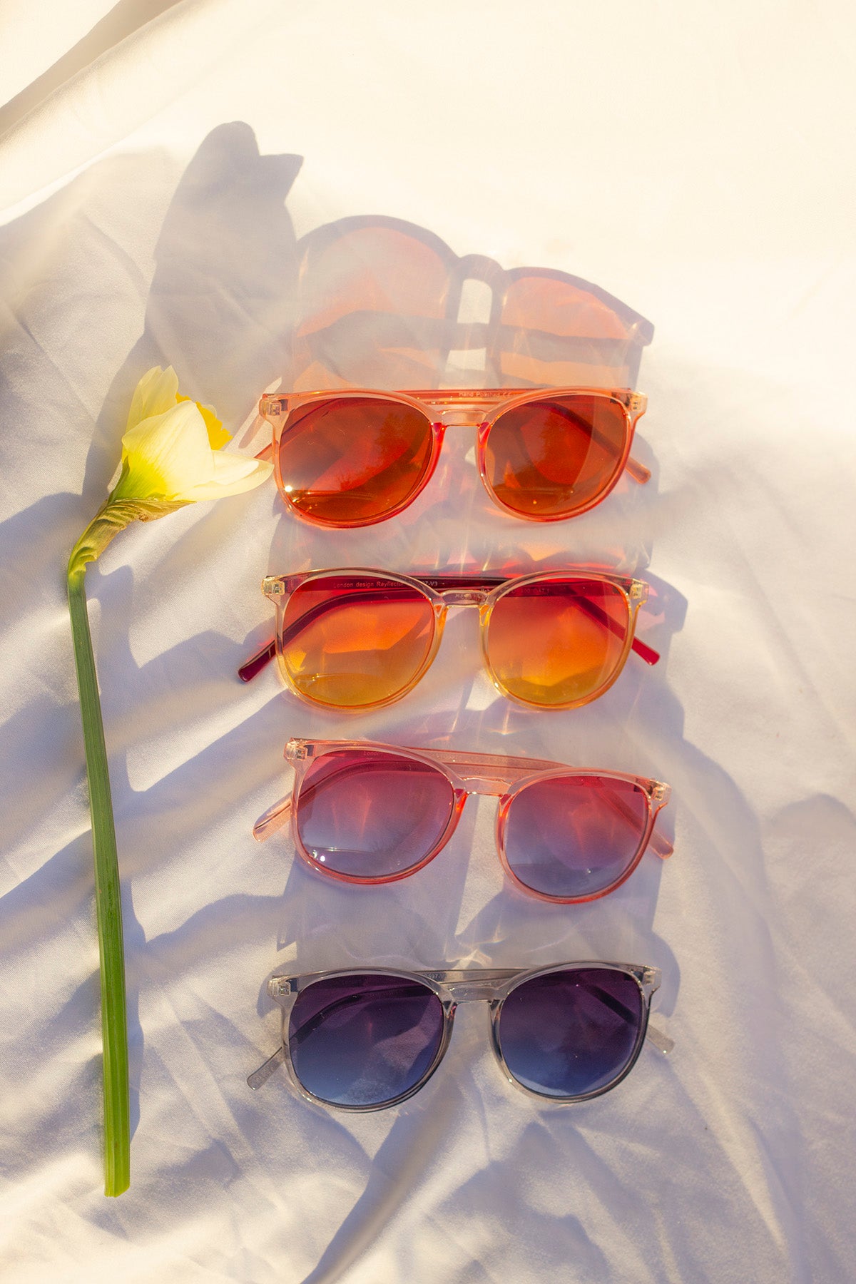 Rounded Full Colourful Sunglasses - Sugar + Style