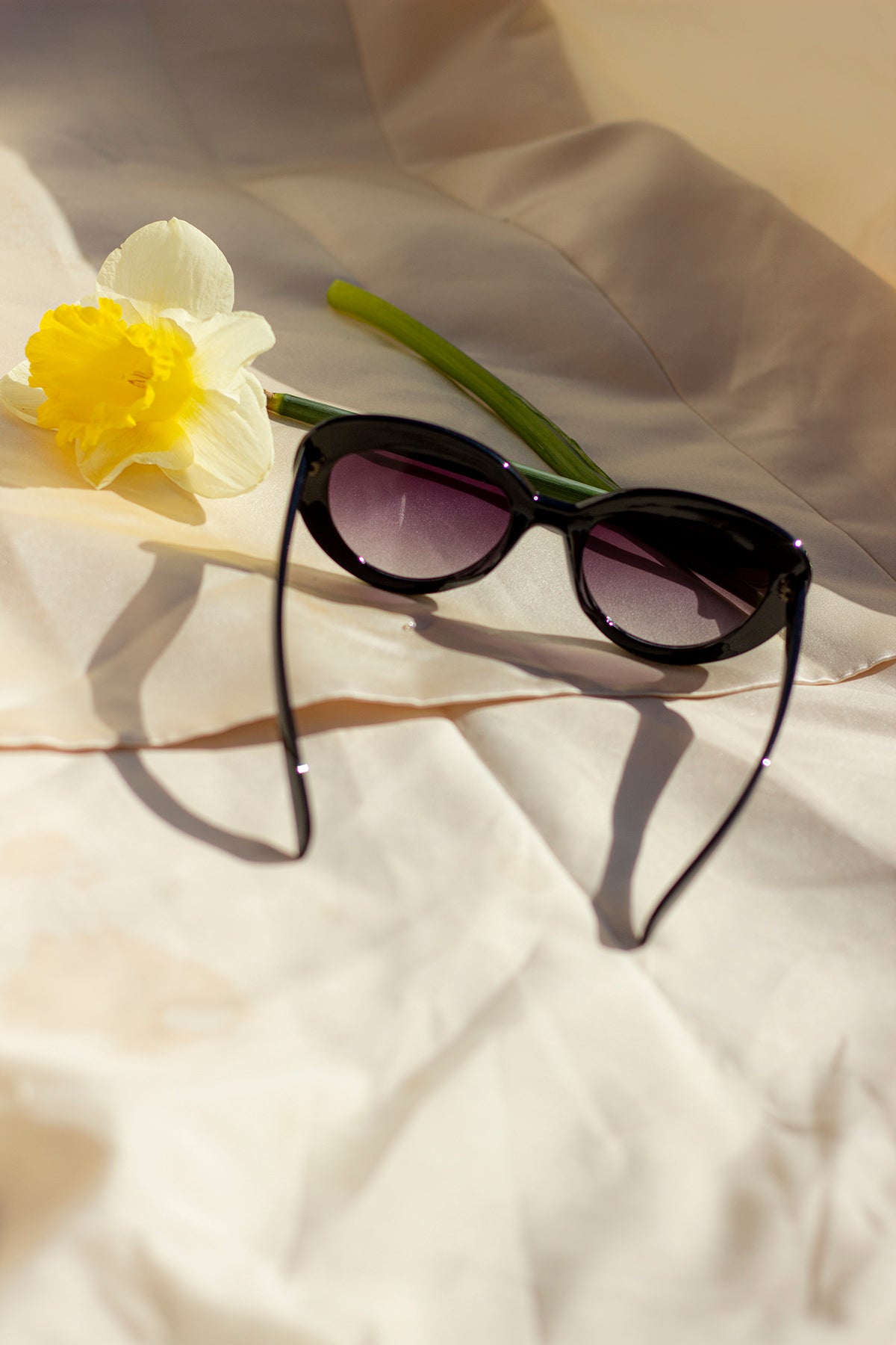 Weighted Oval Cat Eye Sunglasses - Sugar + Style