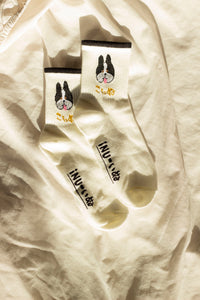 French Bulldog Japanese Text Dog Socks - Sugar + Style