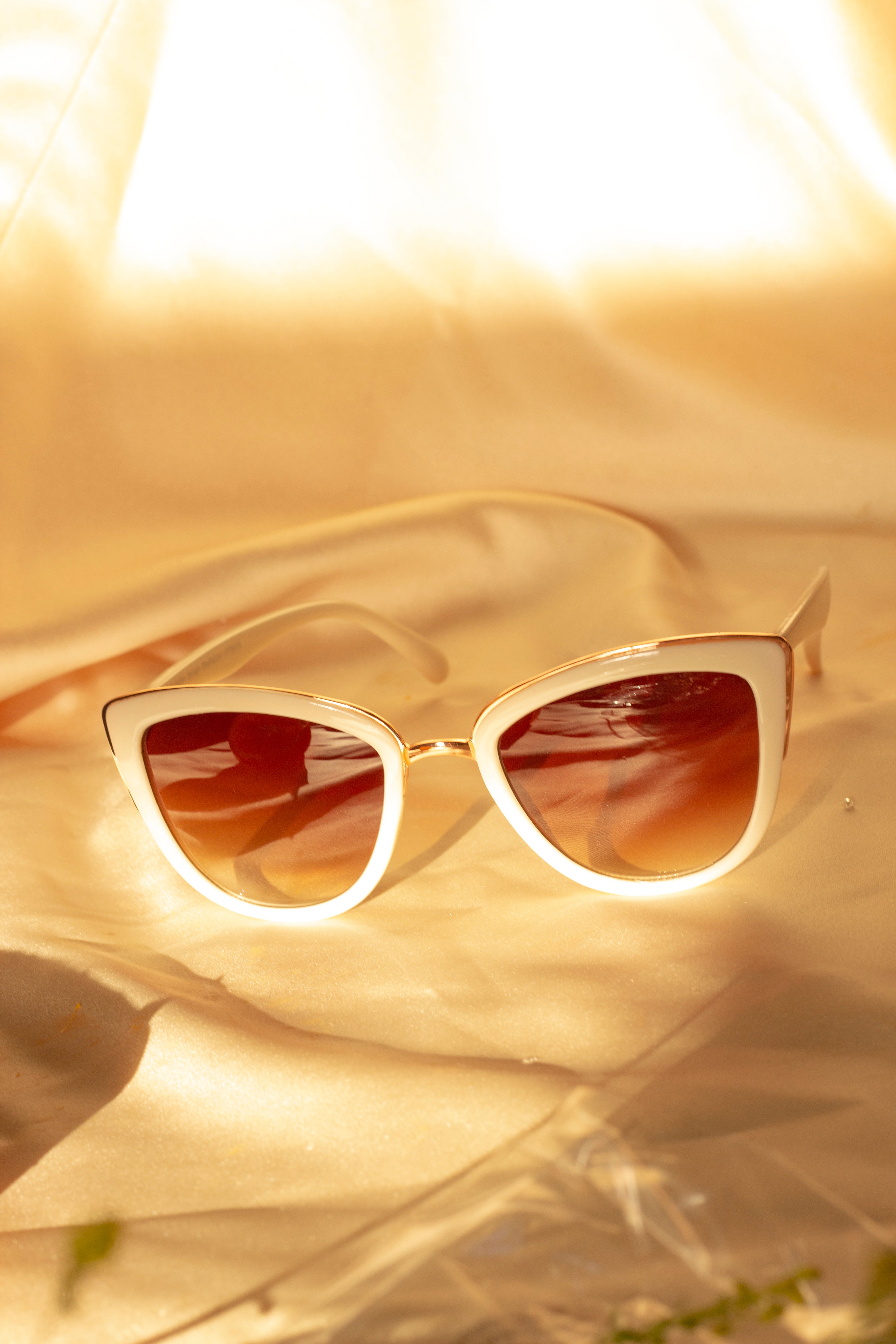 Cat eye acetate and metal sunglasses new arrivals