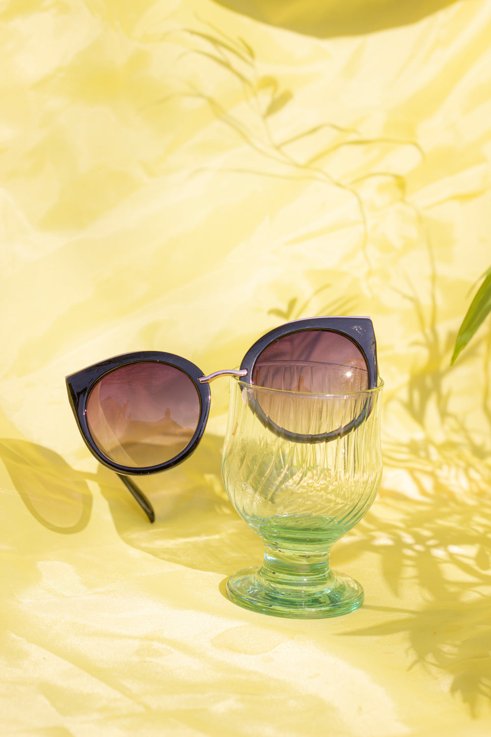 Gold Rim Cat Eye Sunglasses - Sugar + Style