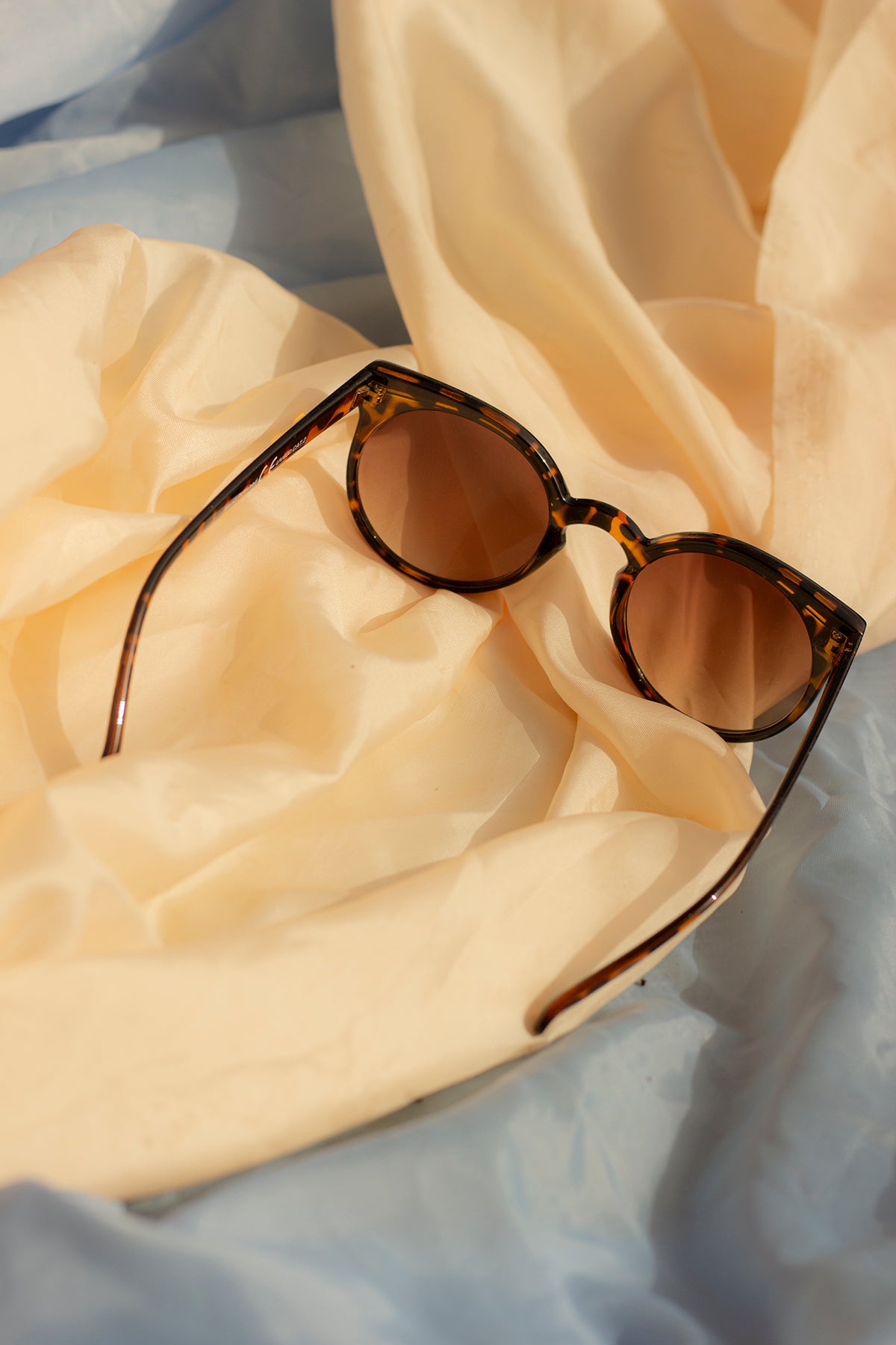 Cat Eye Sunglasses with Brow Line - Sugar + Style