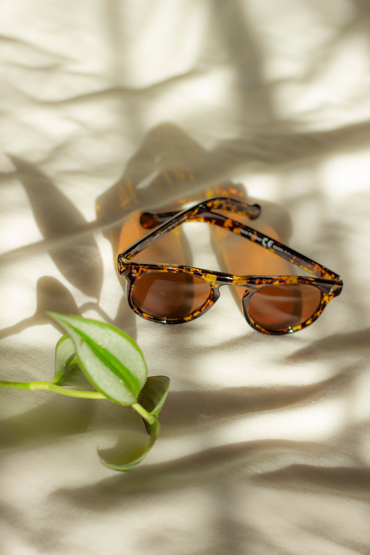 Chunky Classic Rounded Keyhole Sunglasses - Sugar + Style