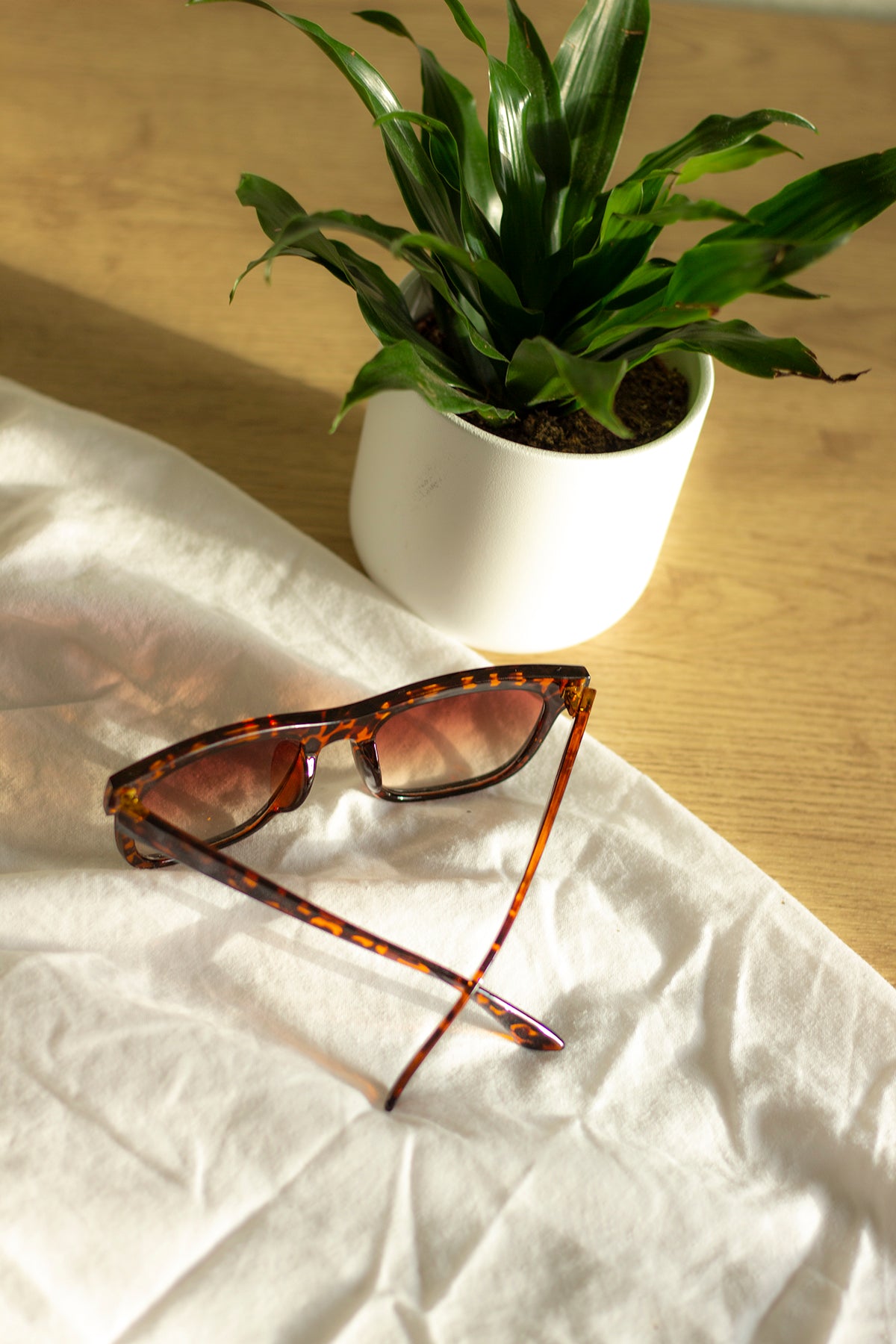Smooth Square Sunglasses - Sugar + Style